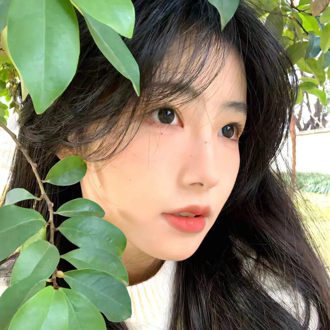 波纹